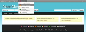 BuddyPress bar with language switcher