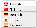 hybrid-language-switcher-zoom