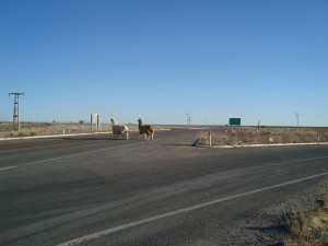 DSC00048