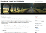 twentyten-es