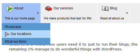 custom-drop-down-menu Items in drop down menus have icons and description