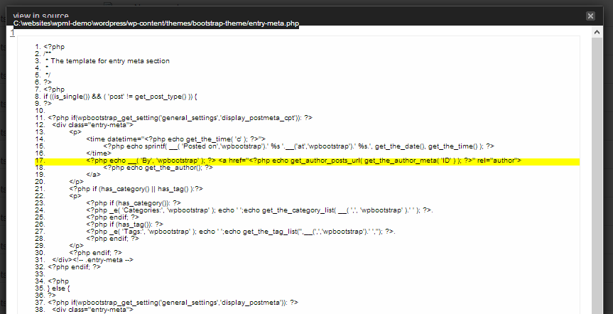String Translation by WPML Plugin – Explore
