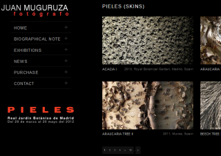 Visit site
