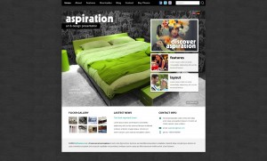 Theme's Screenshot