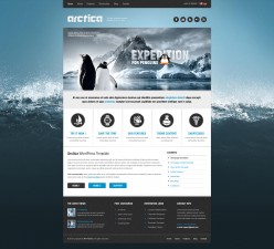 Theme's Screenshot