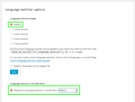 Language switcher settings