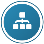 Translating taxonomy