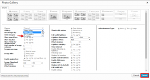 Insert default language gallery