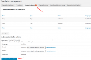 Sending items for translation to Avilinga
