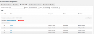 Translation Jobs in progress after being sent for translation to Avilinga